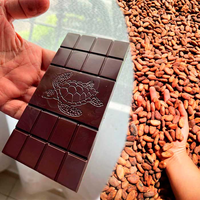 Curso de beantobar